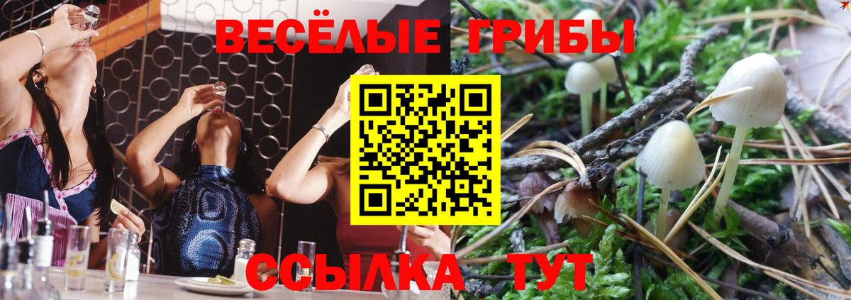 Псилоцибиновые грибы GOLDEN TEACHER  Вход с VPN  Всеволожск  Галлюциногенные грибы мицелий 